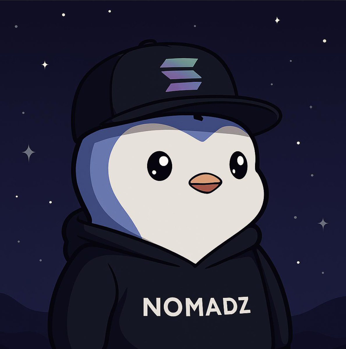 nomadz_co